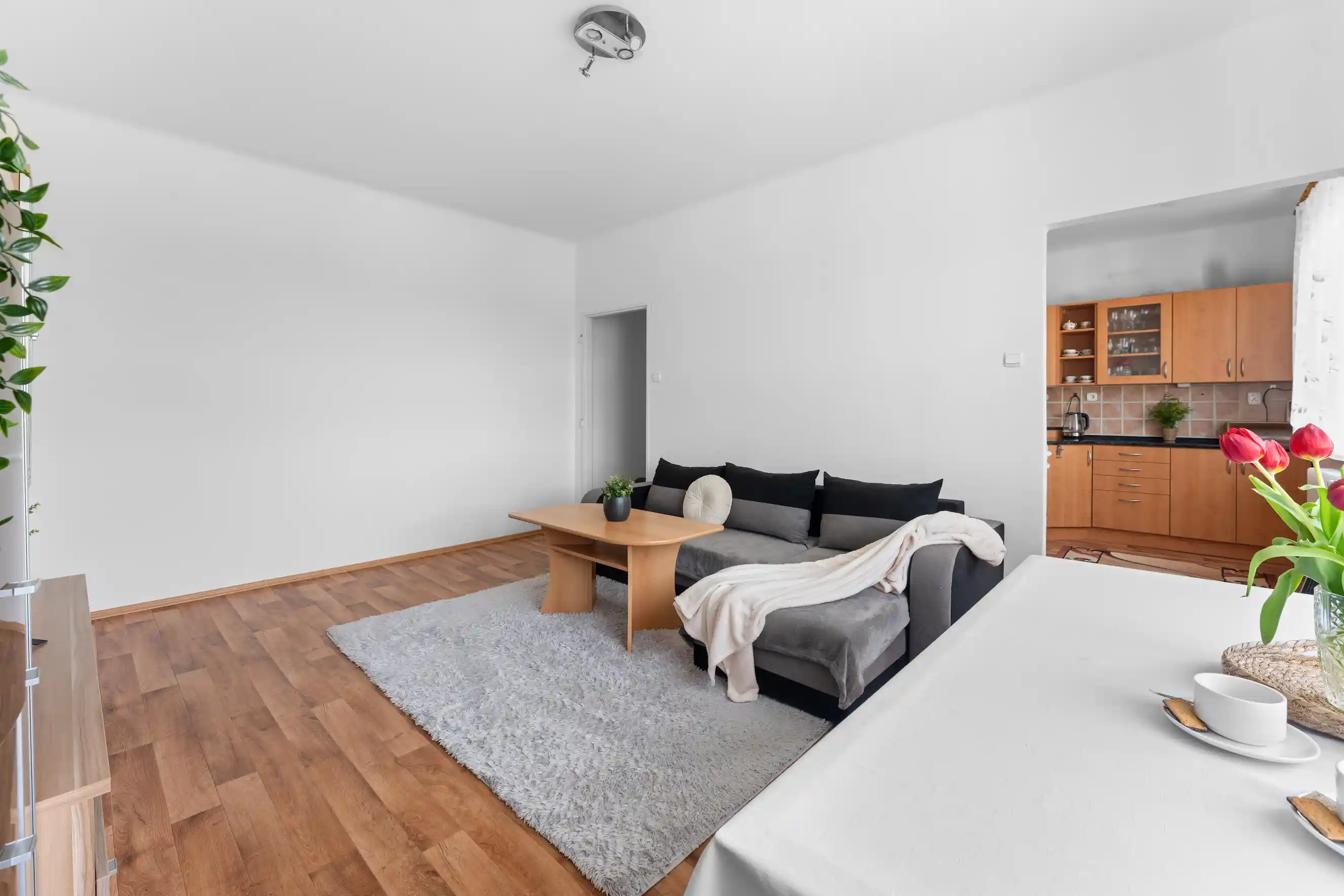 Byt 3+kk, Nová Paka